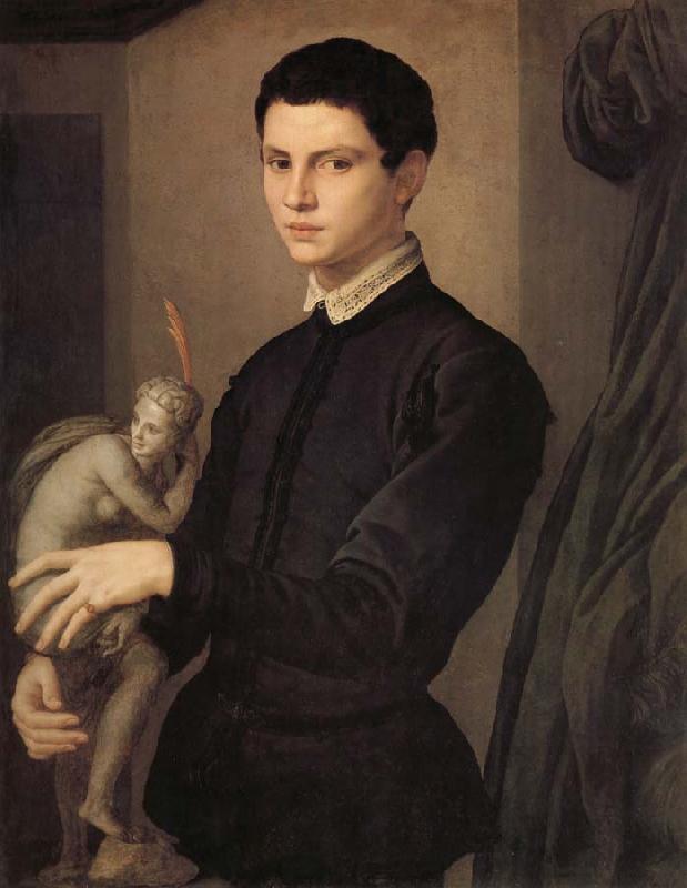 Agnolo Bronzino Portrait d'un sculpteur on d'un jeune amateur oil painting picture